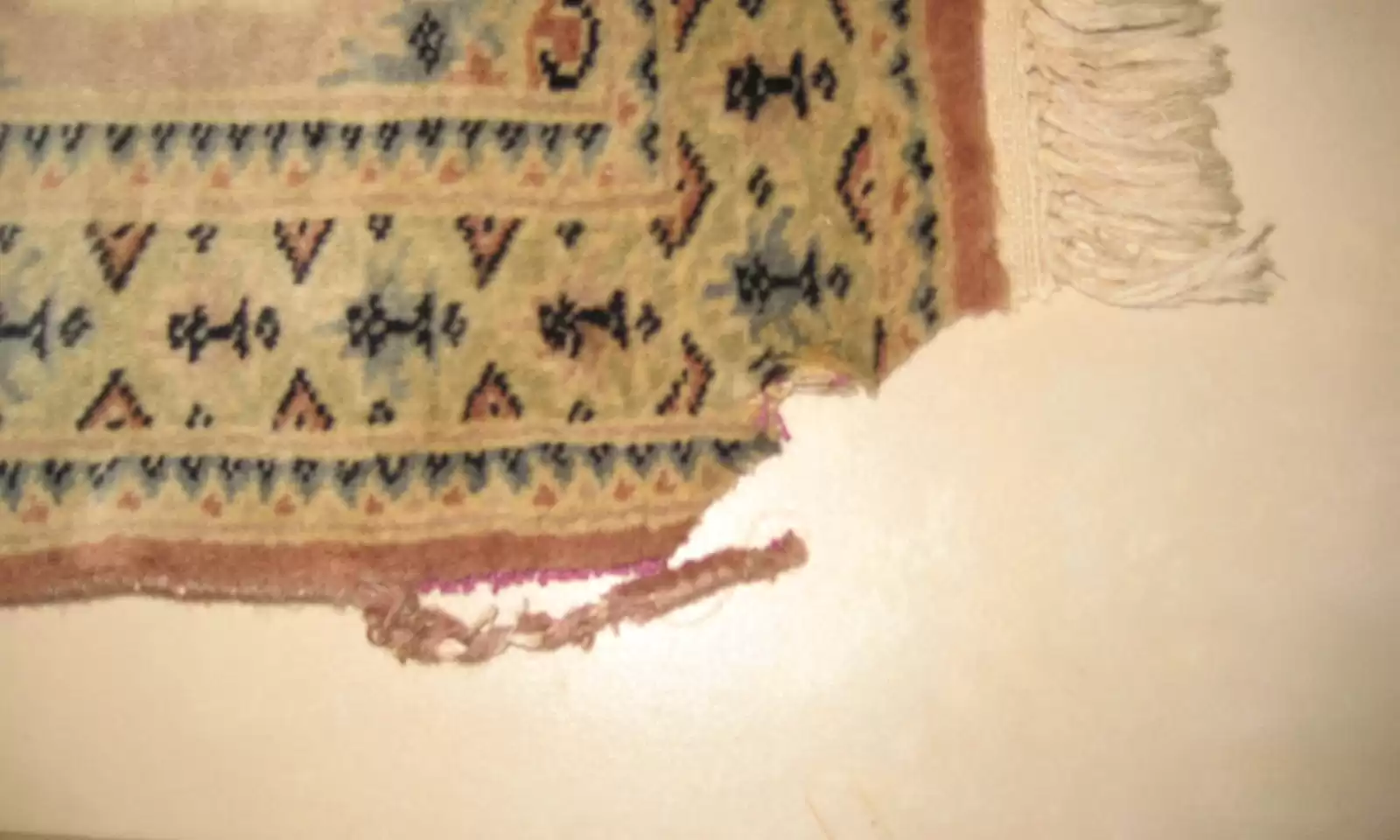Before repair: Oriental rug with significant rip damage.