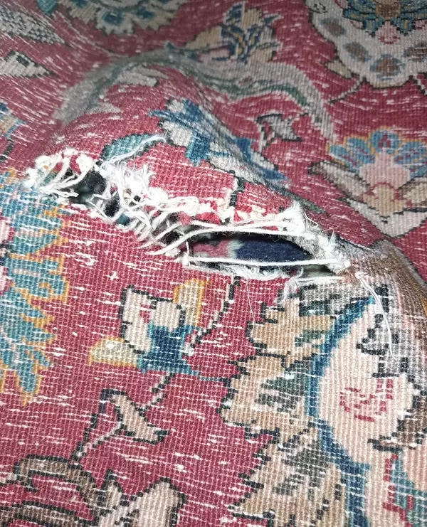 Before repair: oriental rug with a noticeable rip and torn fibers.