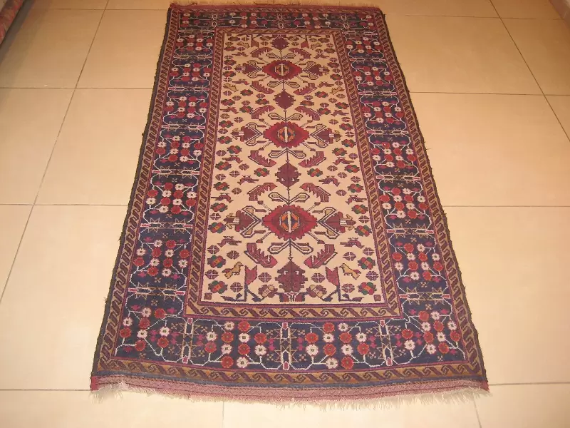 Close-up of dirty pet stains on light-colored oriental rug before cleaning .