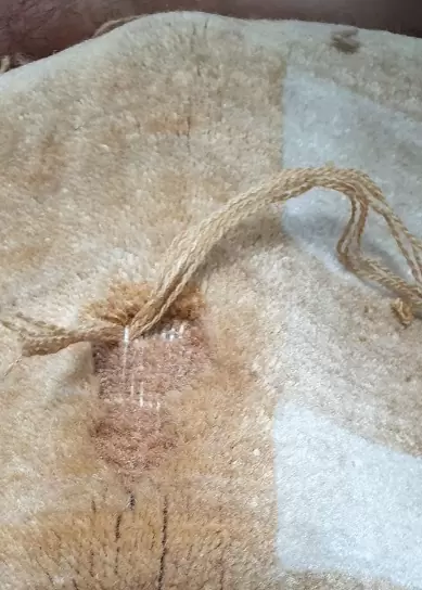 Before repair: Carpet with visible moth damage and thinning pile.
