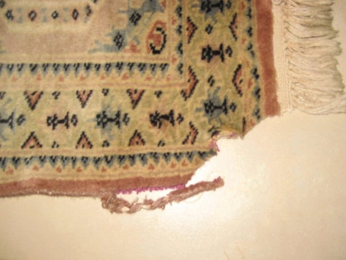 Heavily damaged hand-knotted oriental carpet with visible deterioration, awaiting expert repair.