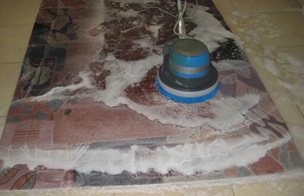 Deep carpet cleaning in Brussels