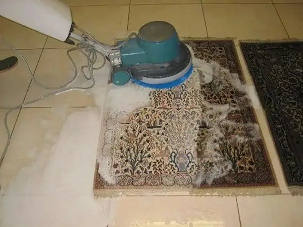Professional **oriental rug services Brussels** deep carpet cleaning in our workshop.